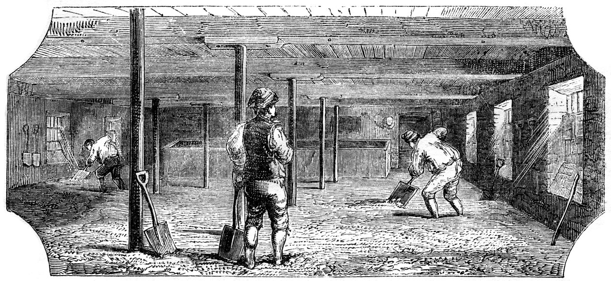 स्टीपिंग, काउचिंग और फ्लोरिंग माल्ट, 1886 द्वारा अज्ञात