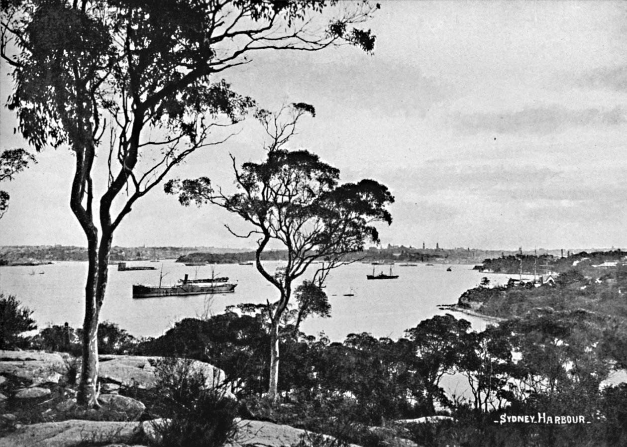 Cremorne प्वाइंट से सिडनी हार्बर, c1900। द्वारा अज्ञात