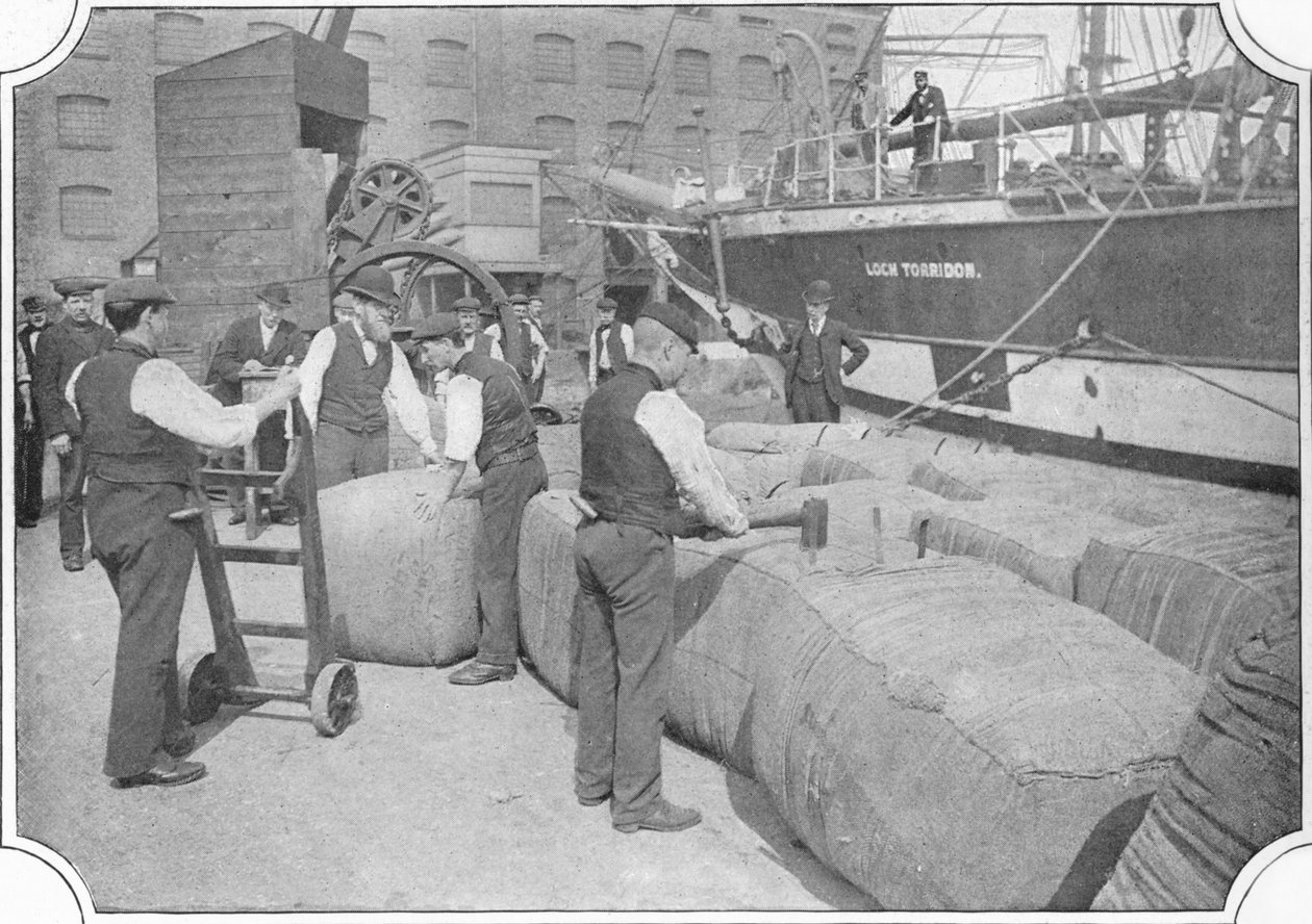 लंदन डॉक पर टैली ऊन के गांठ, c1900 1901 द्वारा अज्ञात