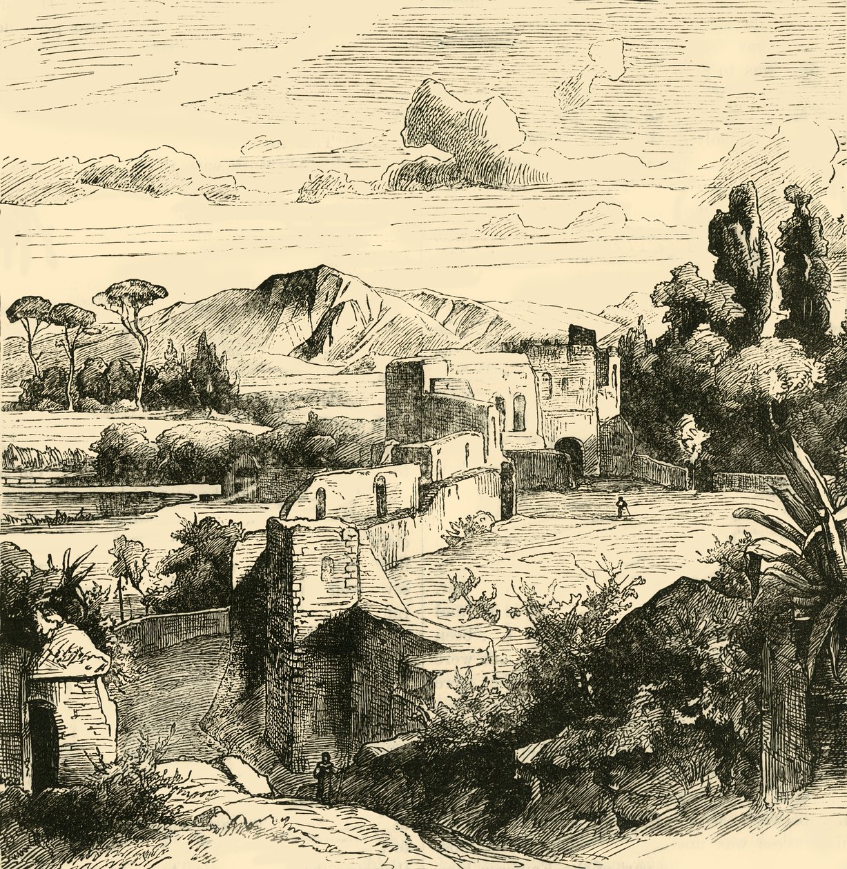 ऑरेलियन वॉल, 1890। द्वारा अज्ञात