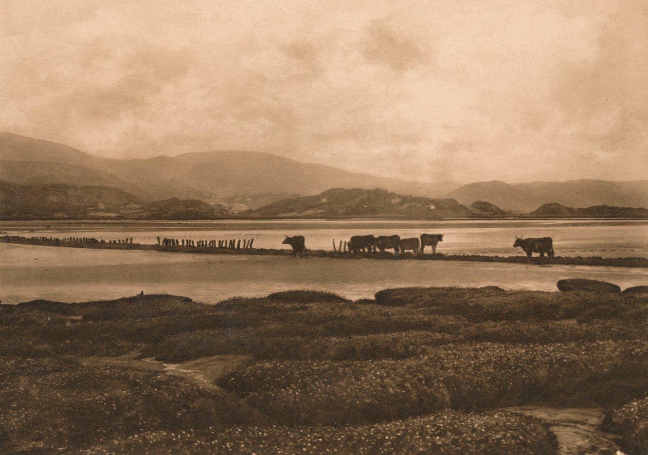 1902 में यनिस पर डोवी द्वारा अज्ञात