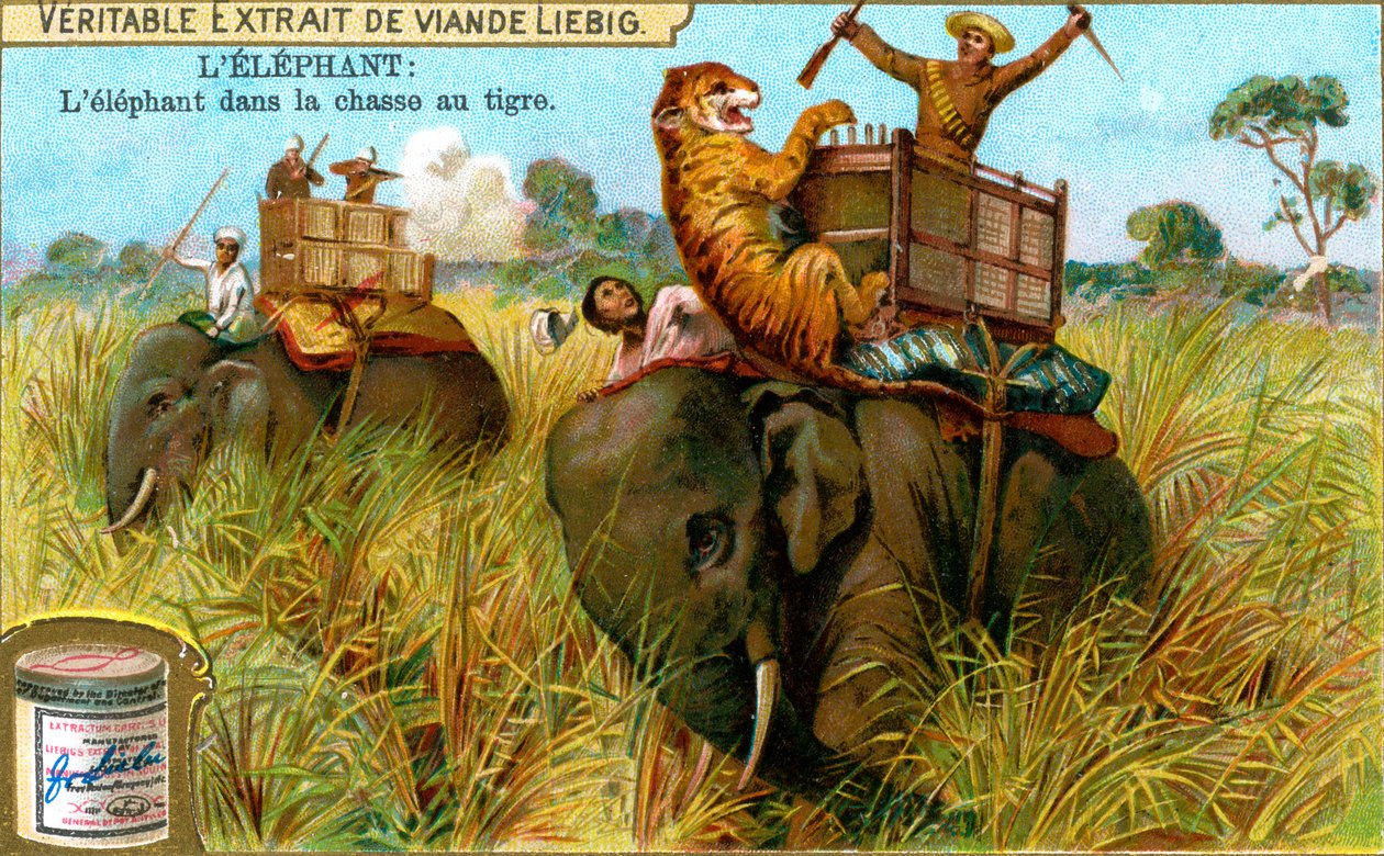 बाघ के शिकार पर हाथी, c1900 द्वारा अज्ञात