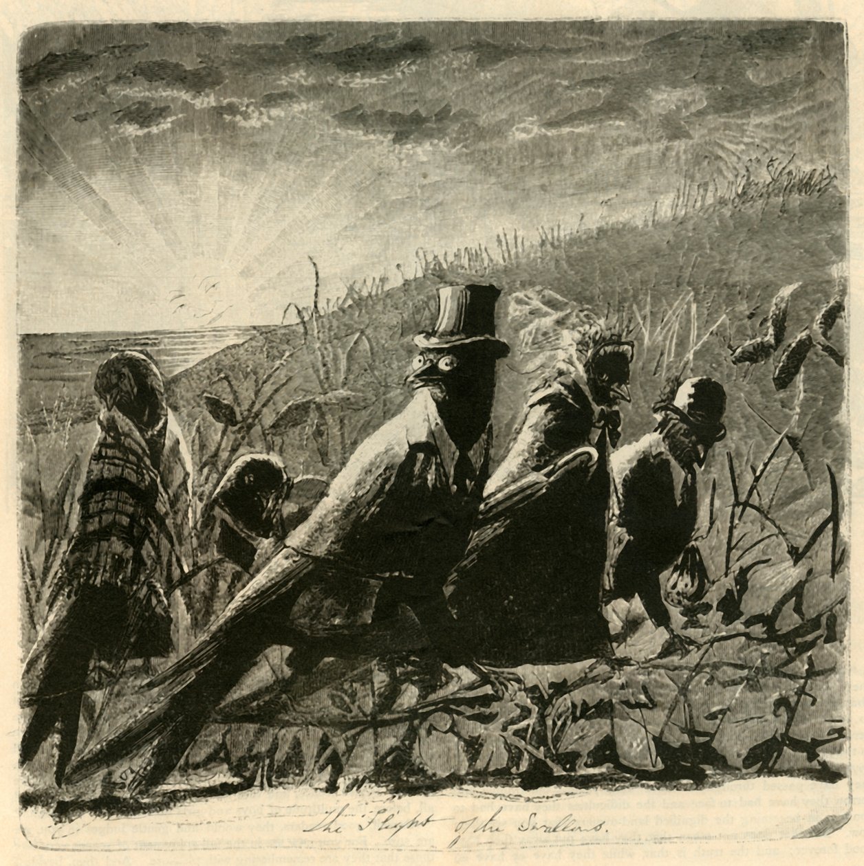 द फ्लाइट ऑफ द स्वैलोज़, 1882। द्वारा अज्ञात
