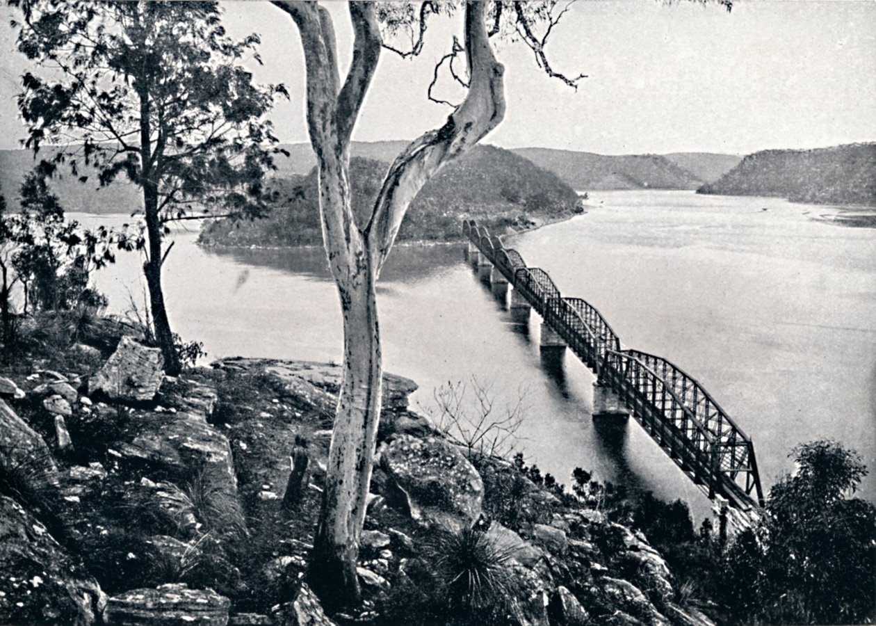 हॉक्सबरी नदी और पुल, c1900। द्वारा अज्ञात