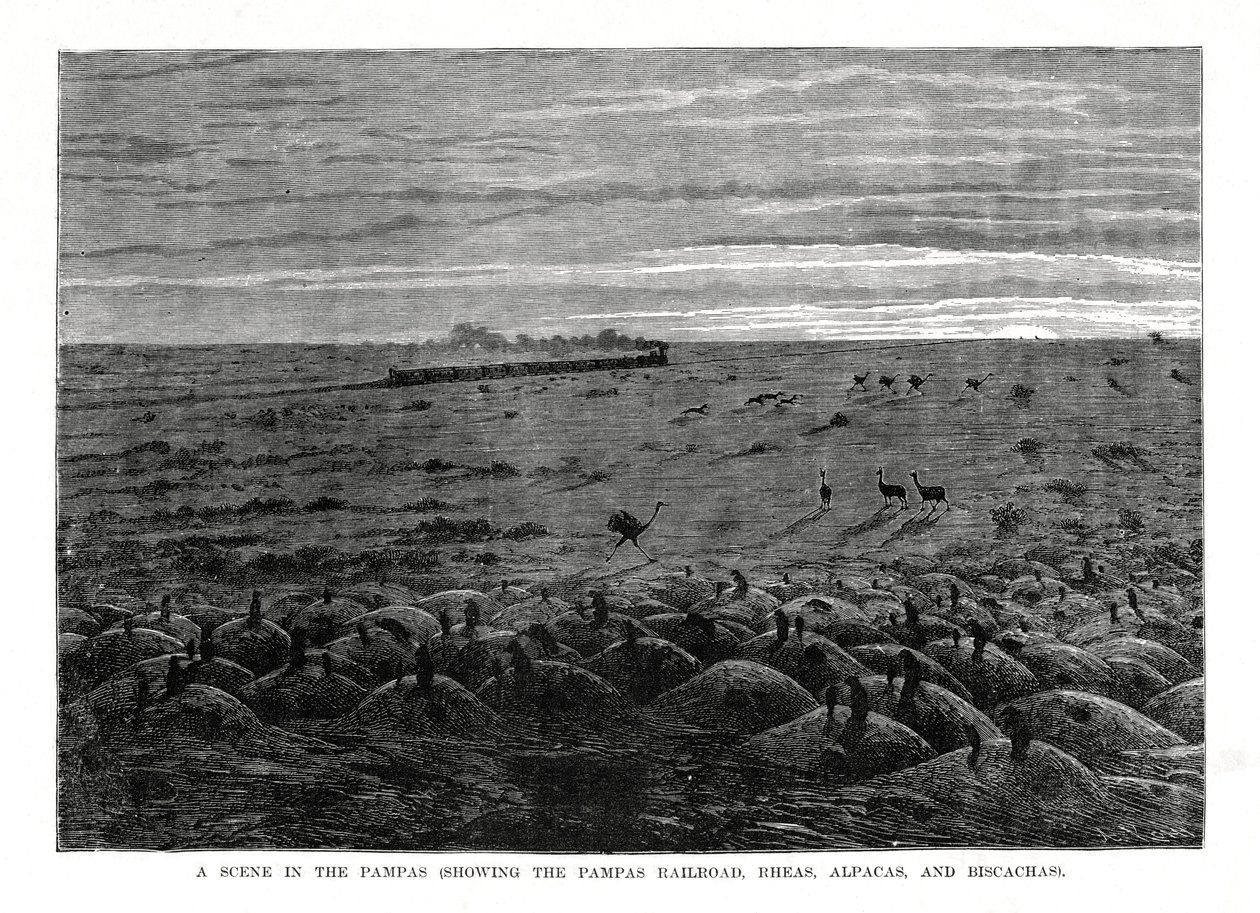 पम्पास रेलमार्ग, दक्षिण अमेरिकी तराई, 1877 द्वारा अज्ञात