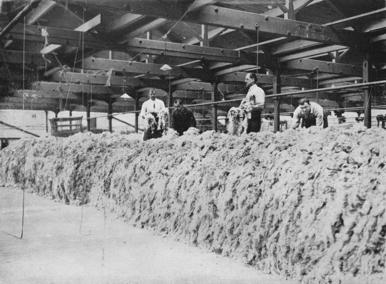 खाकी का निर्माण - ऊन सम्मिश्रण, 1915 द्वारा अज्ञात