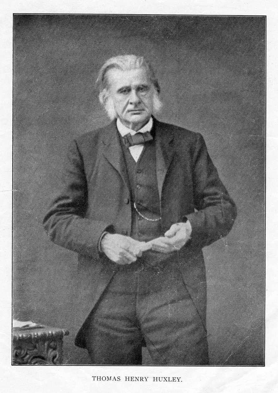 थॉमस हेनरी हक्सले, ब्रिटिश जीवविज्ञानी, c1870s द्वारा अज्ञात