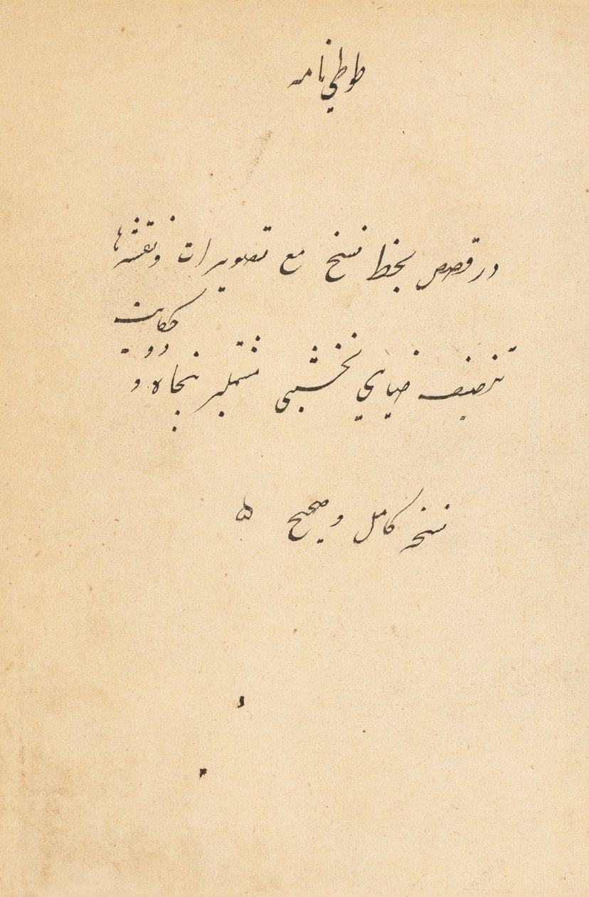 टुटी-नेम टेल्स ऑफ़ ए पैरट, सी। 1560। द्वारा अज्ञात