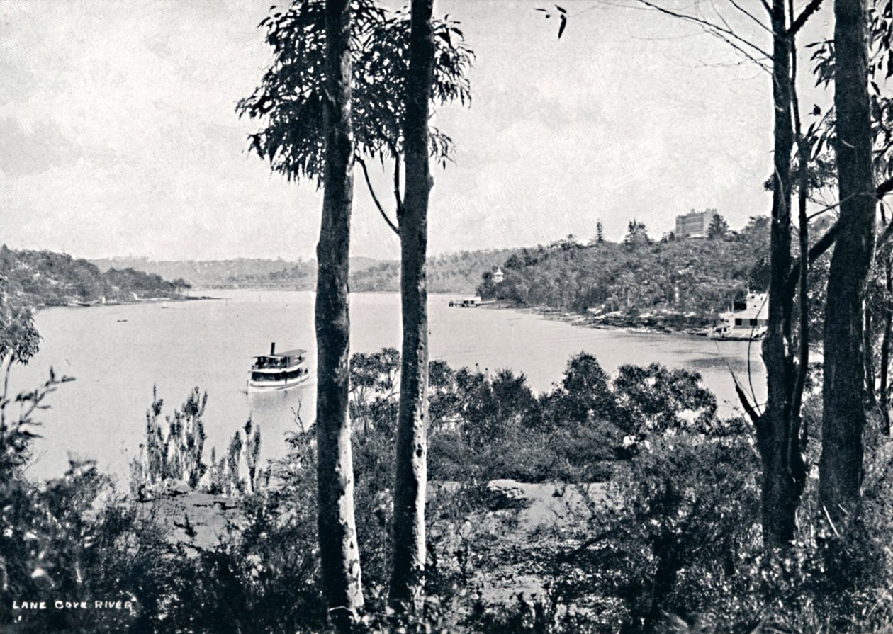 लेन कोव नदी पर देखें, c1900। द्वारा अज्ञात