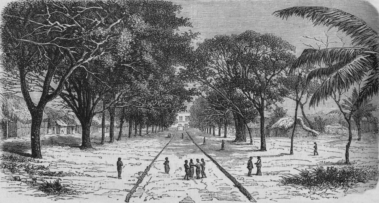 अफ्रीका के वेस्ट कोस्ट पर गांव, c1880 द्वारा अज्ञात
