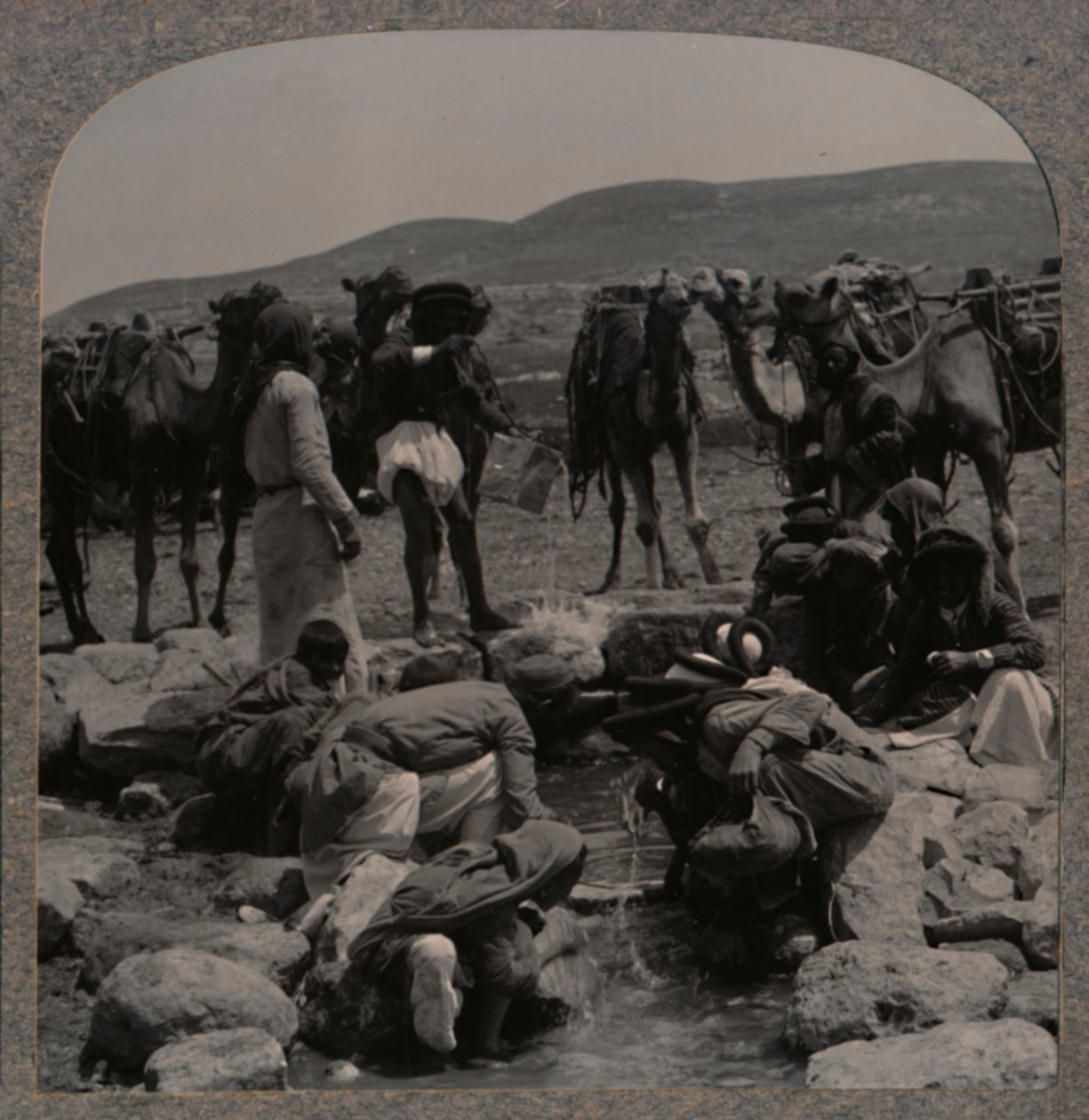 जैकब वेल में पानी के ऊंट, c1900 द्वारा अज्ञात