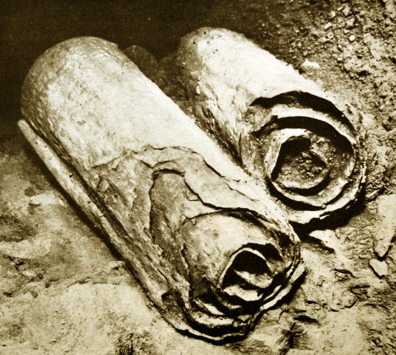 मृत सागर स्क्रॉल का उत्खनन, 1950 द्वारा अज्ञात अज्ञात