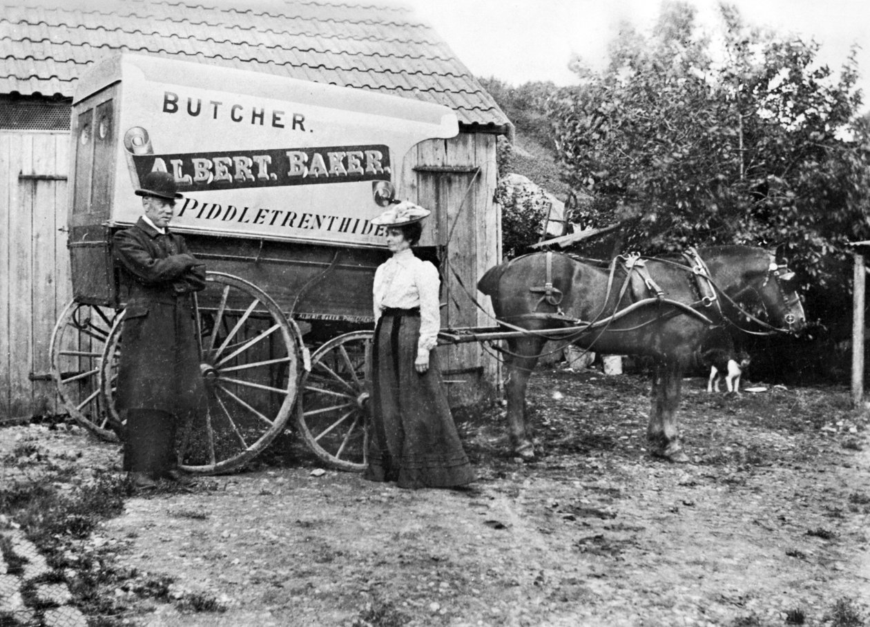 यूनाइटेड किंगडम: एक कसाई की गाड़ी। पिडलट्रेंथाइड, c1900 द्वारा अज्ञात