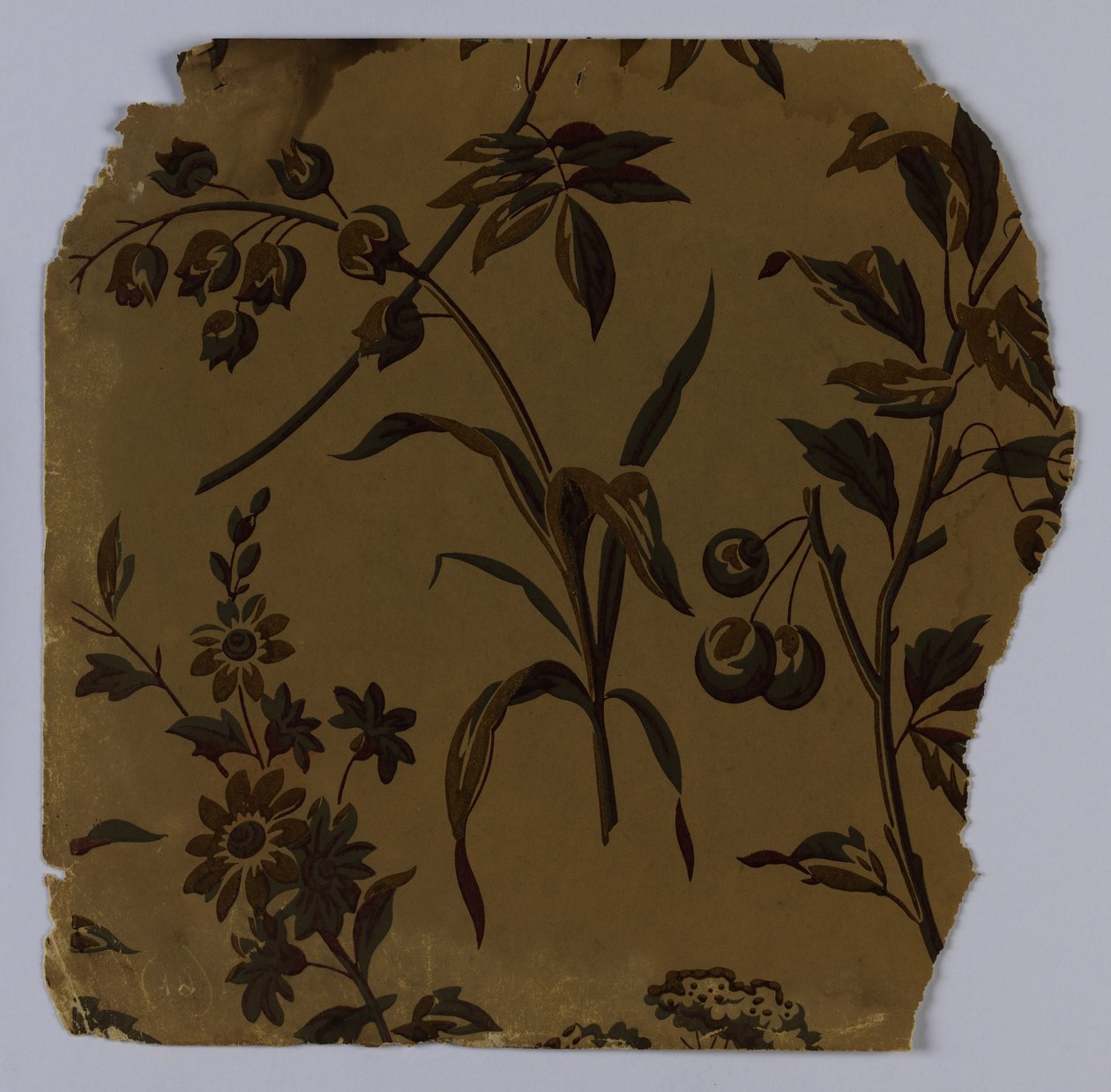 सिडवेल नमूना, 1880–90 द्वारा अज्ञात