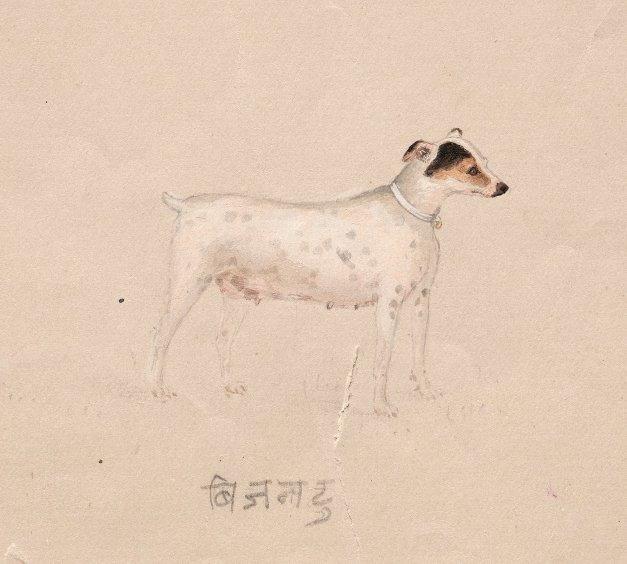  द्वारा अज्ञात कलाकार
