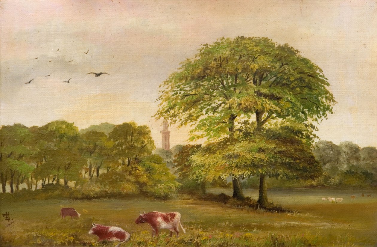टॉवर एजबेस्टन पम्पिंग स्टेशन, 1894। द्वारा घाटी