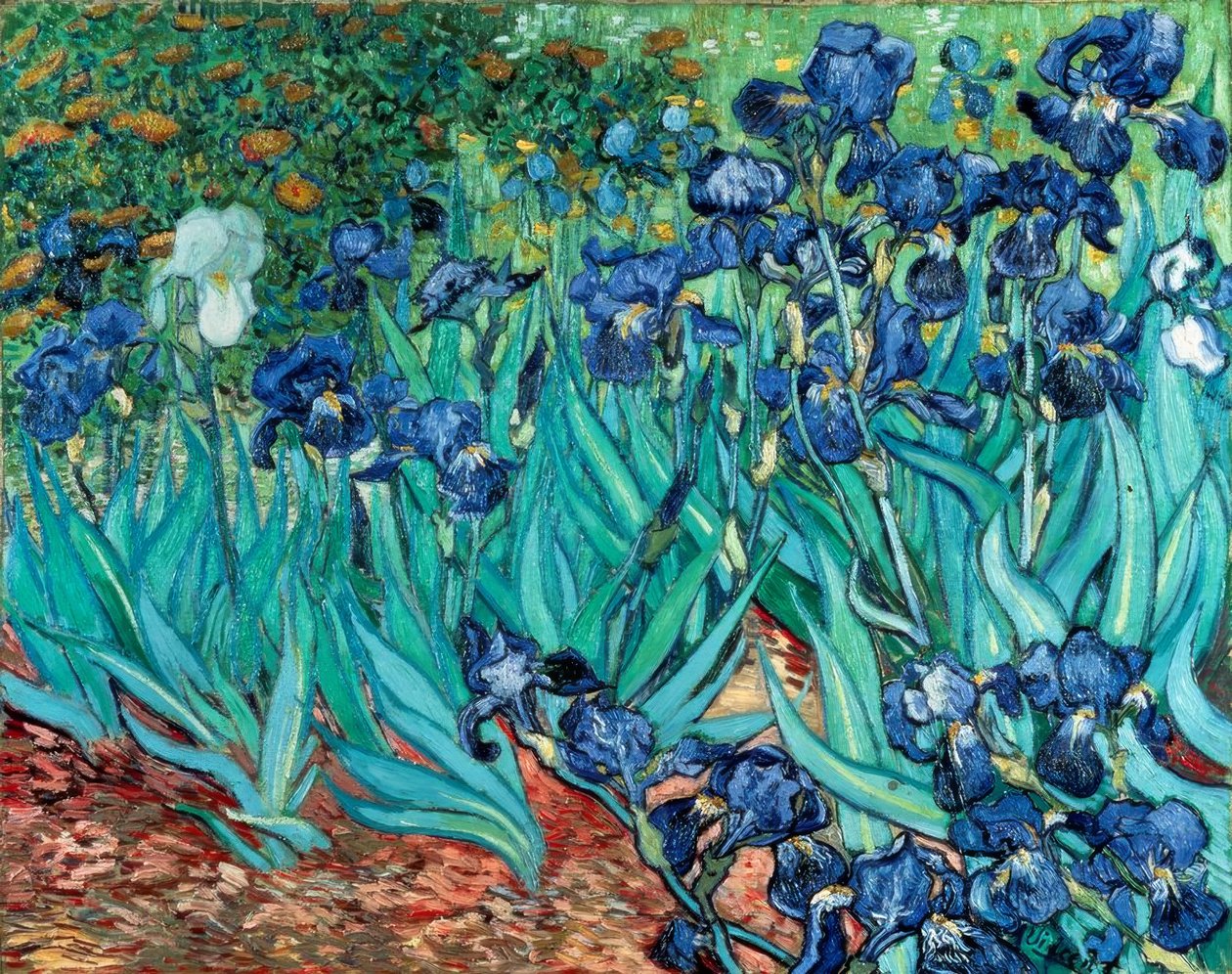 आइरिस (irises) द्वारा विन्सेंट वैन गॉग