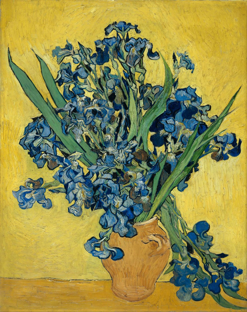 Irises द्वारा विन्सेंट वैन गॉग