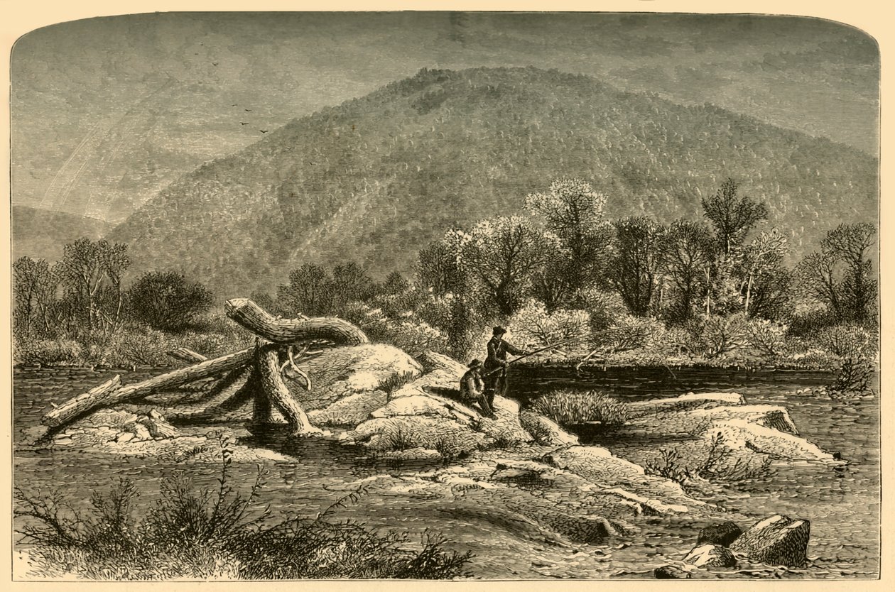 माउंट चेस्टरफील्ड, 1874। द्वारा डब्ल्यूएच मोर्स