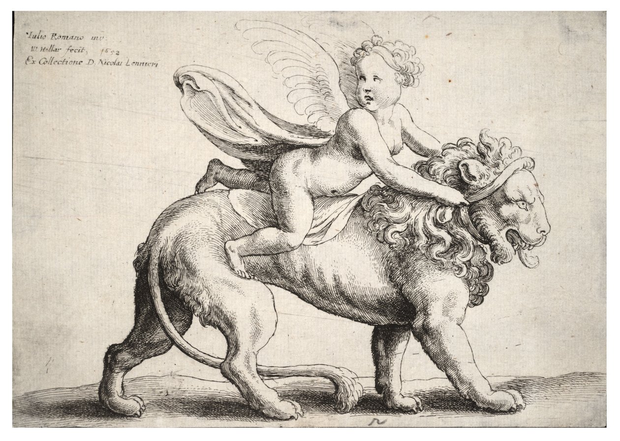 गिउलिओ रोमानो के बाद, एक शेर पर कामदेव द्वारा Wenceslaus Hollar