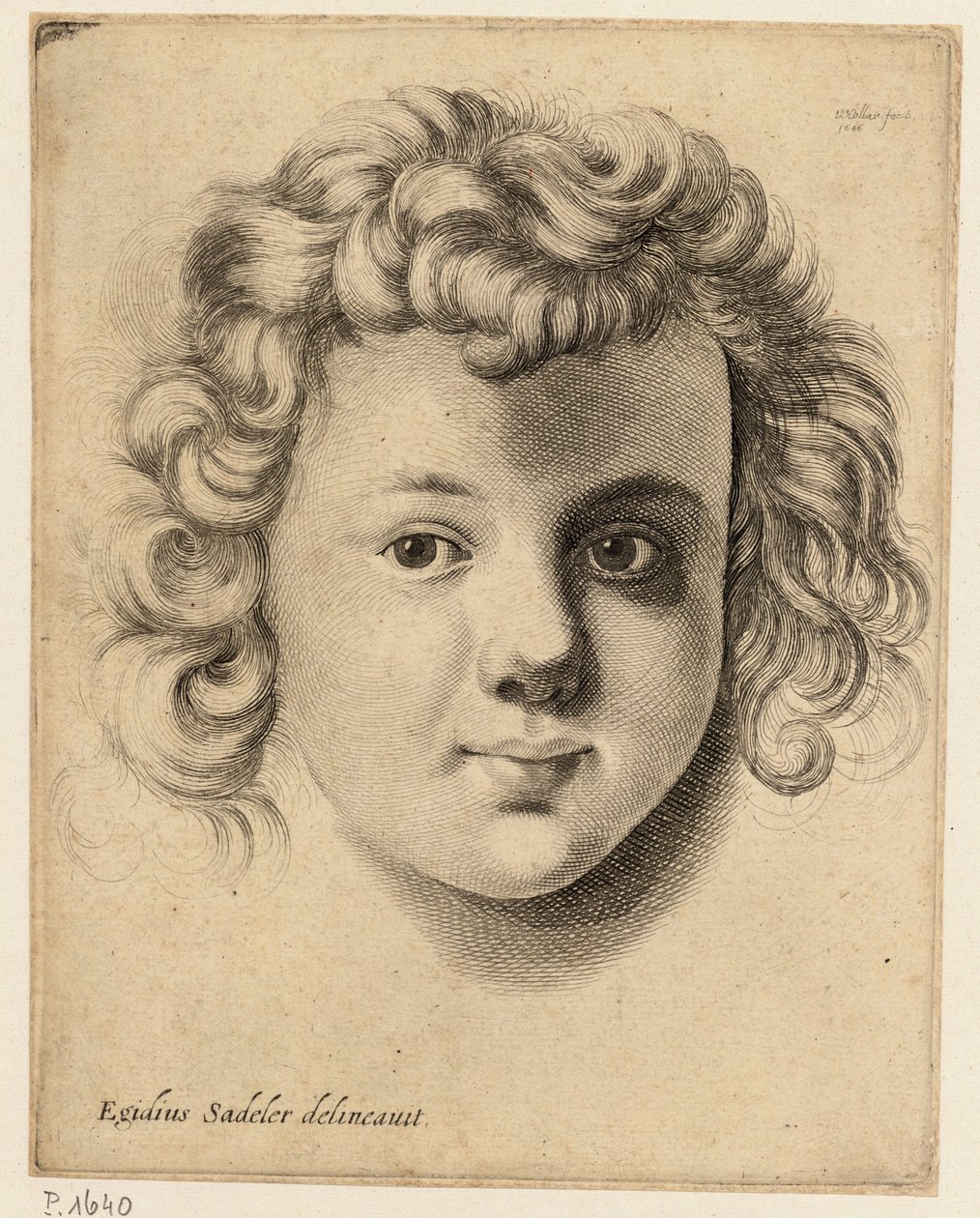 सदेलर के बाद एक बच्चे का सिर द्वारा Wenceslaus Hollar