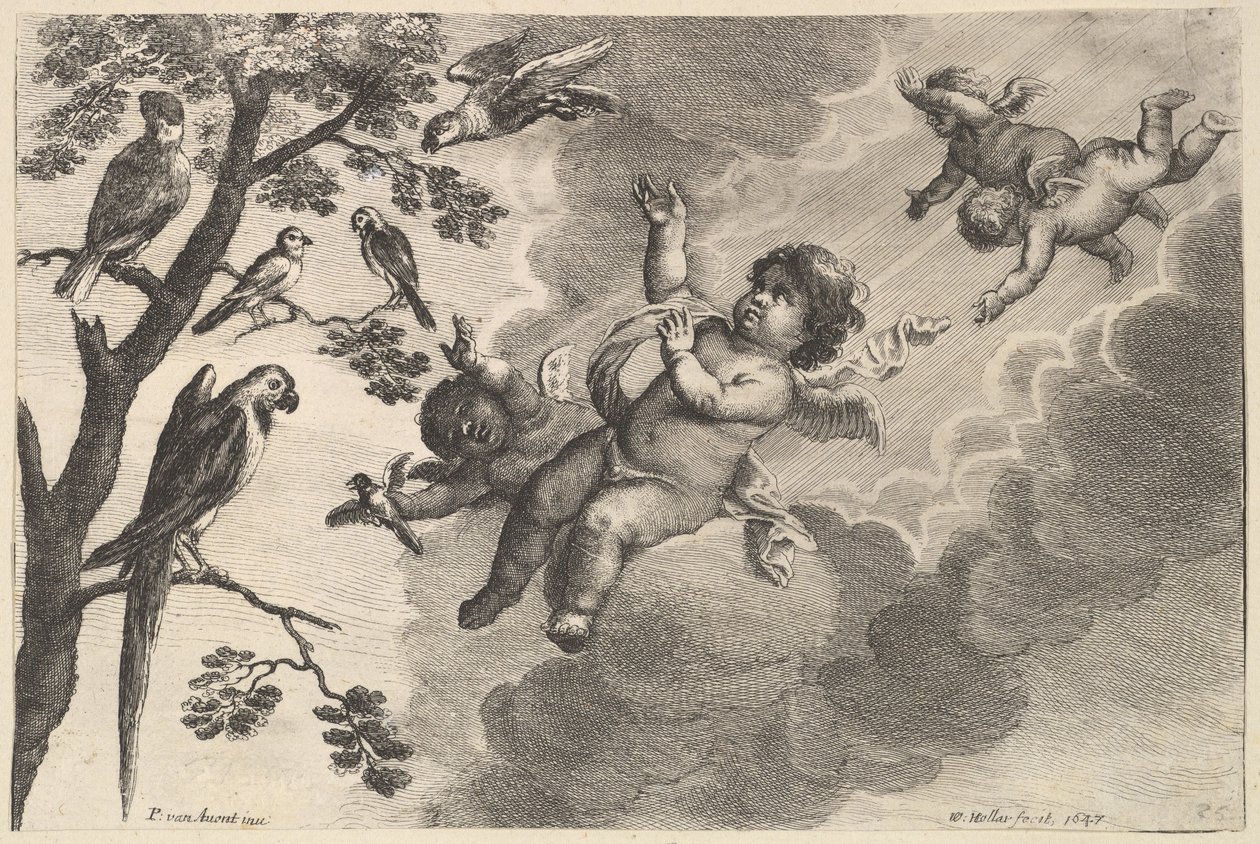 वायु चार तत्व, ca. 1647। द्वारा Wenceslaus Hollar