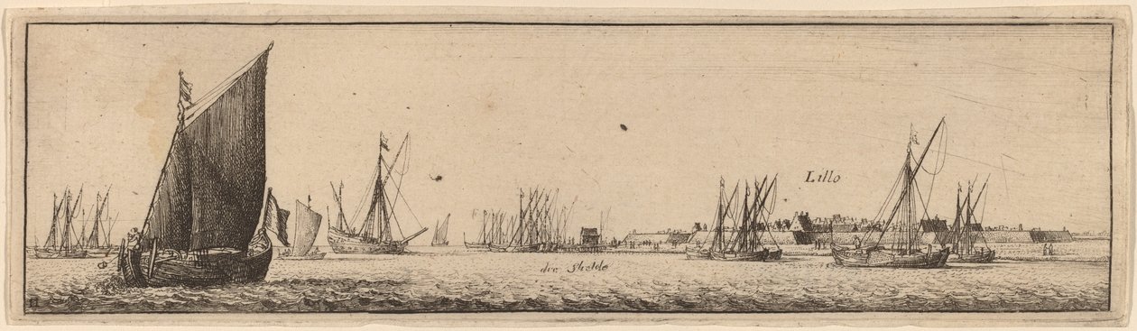 लिलो द्वारा Wenceslaus Hollar