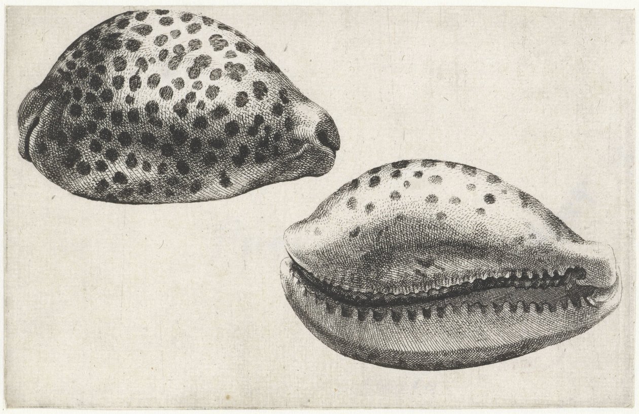  द्वारा Wenceslaus Hollar