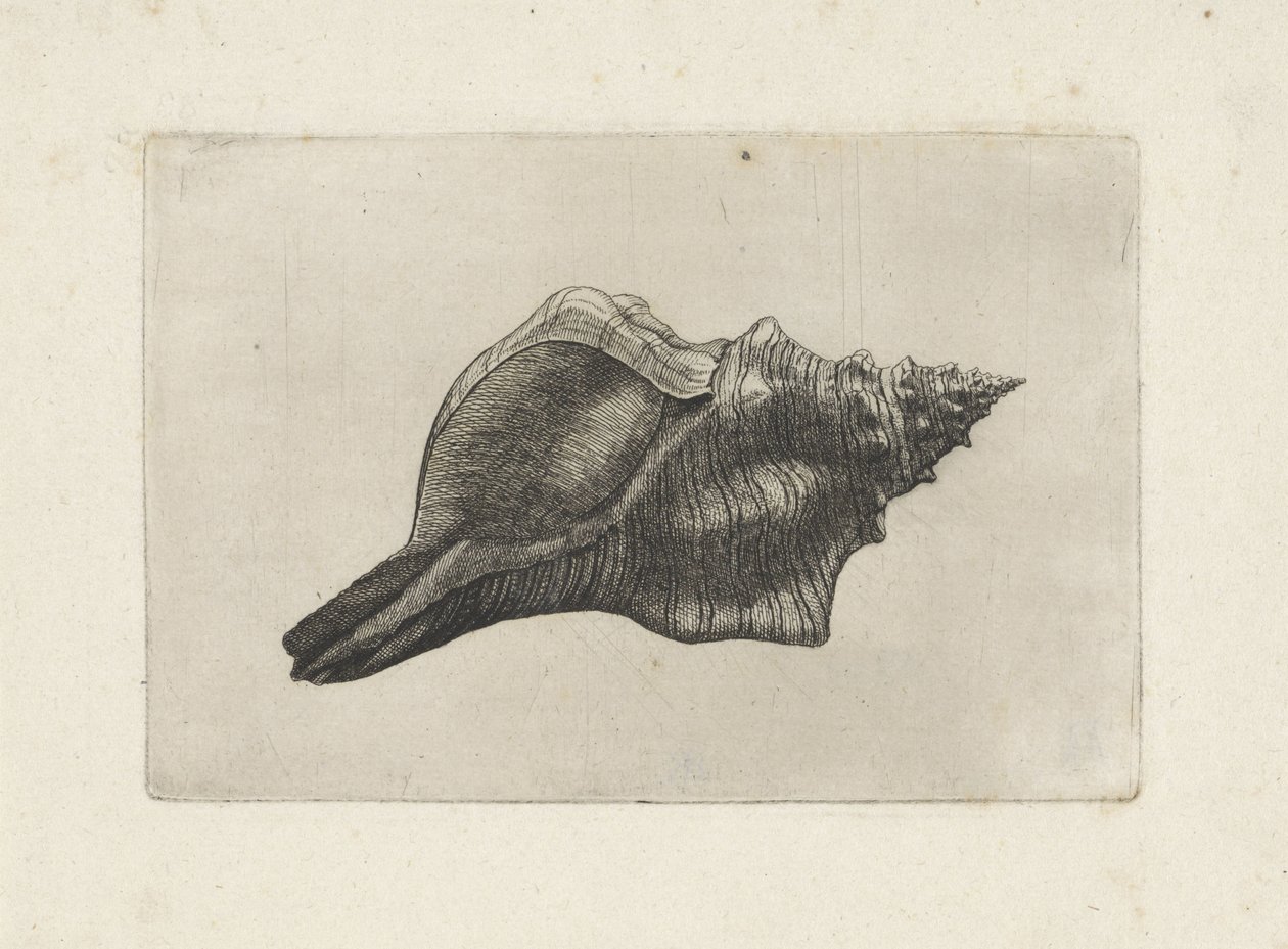  द्वारा Wenceslaus Hollar