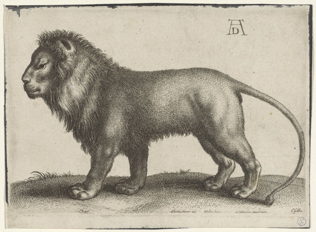  द्वारा Wenceslaus Hollar