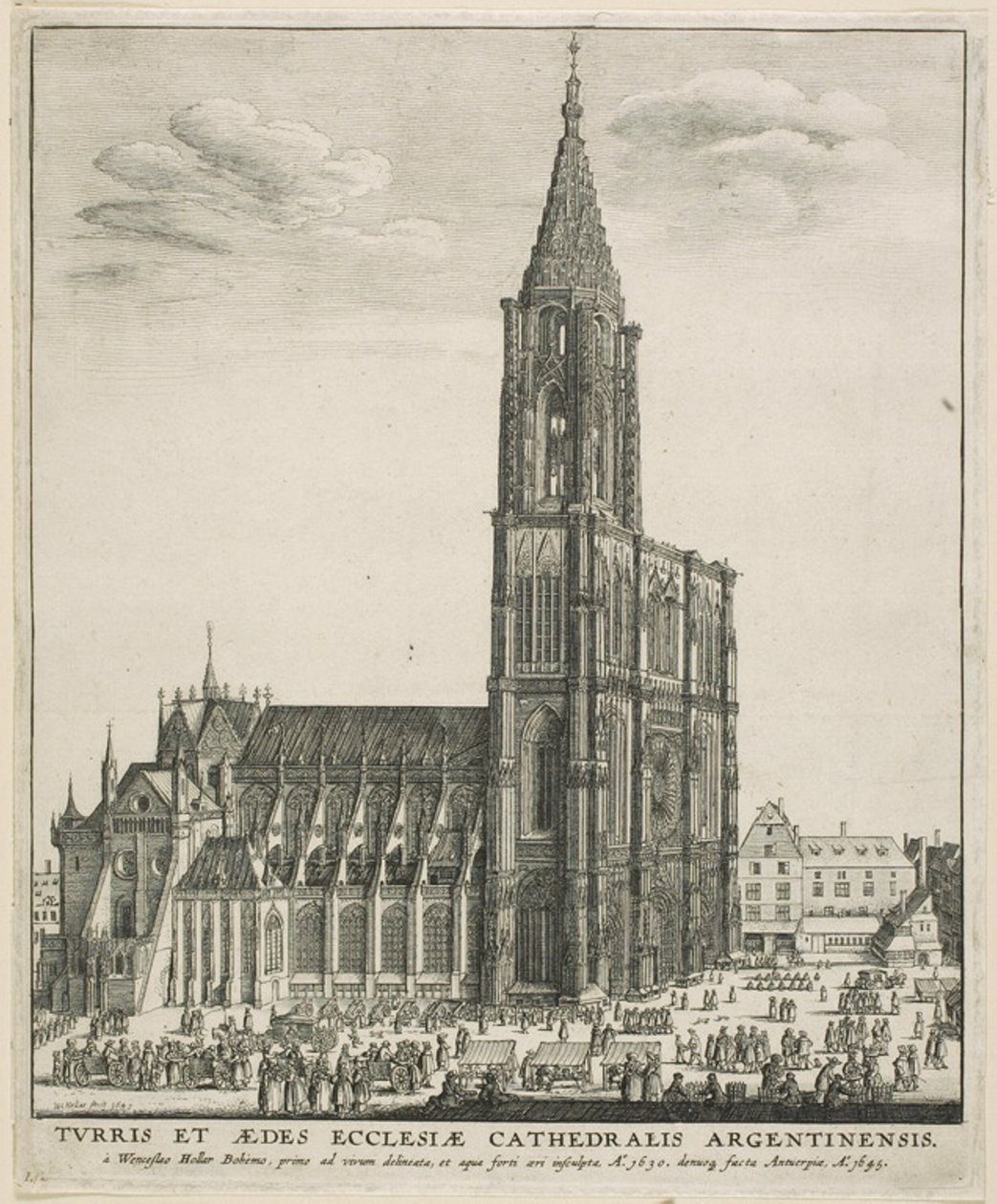  द्वारा Wenceslaus Hollar