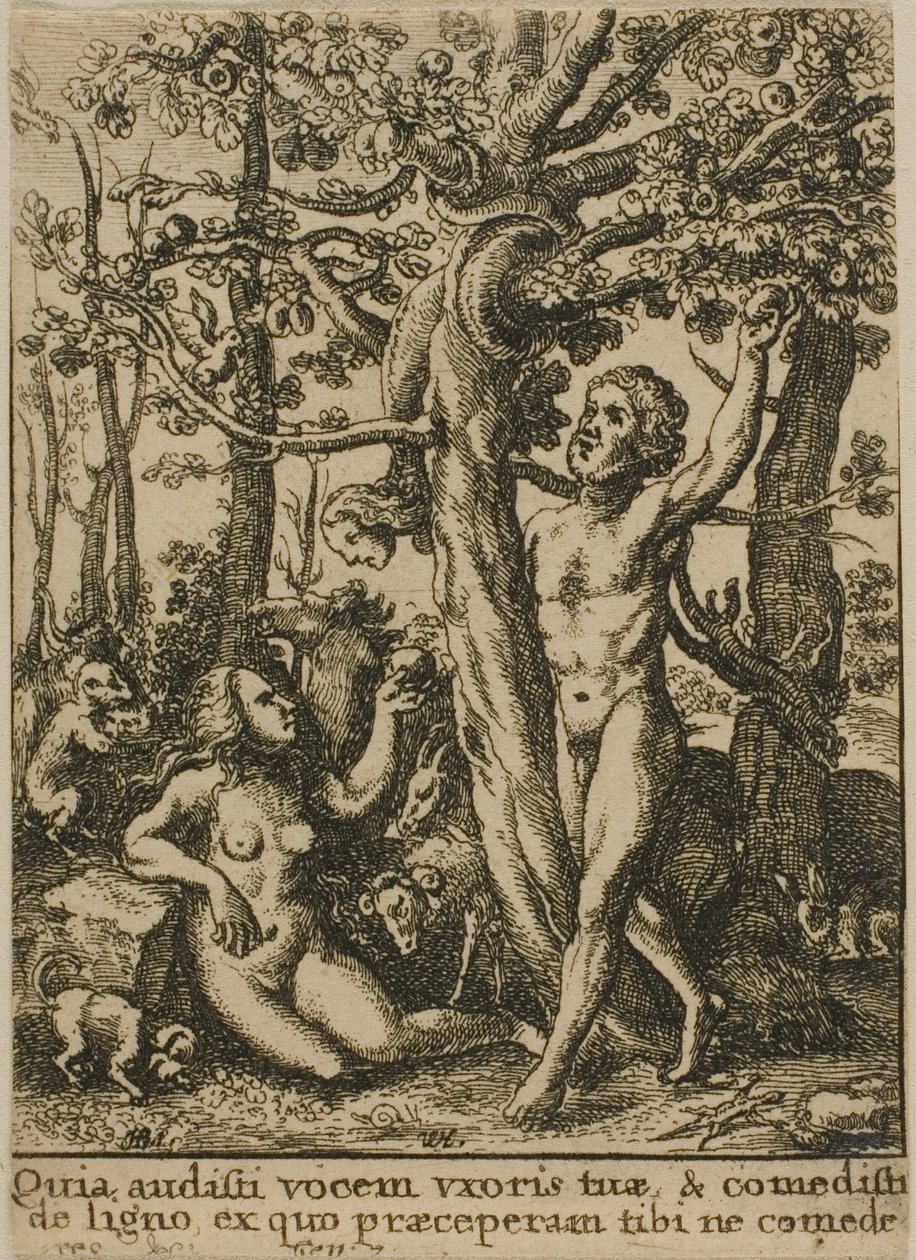  द्वारा Wenceslaus Hollar