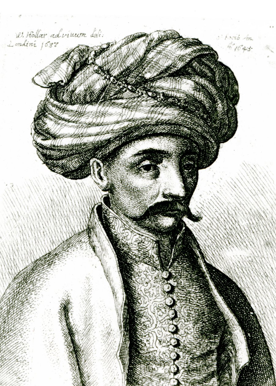 तुर्क का सिर, 1645 द्वारा Wenceslaus Hollar