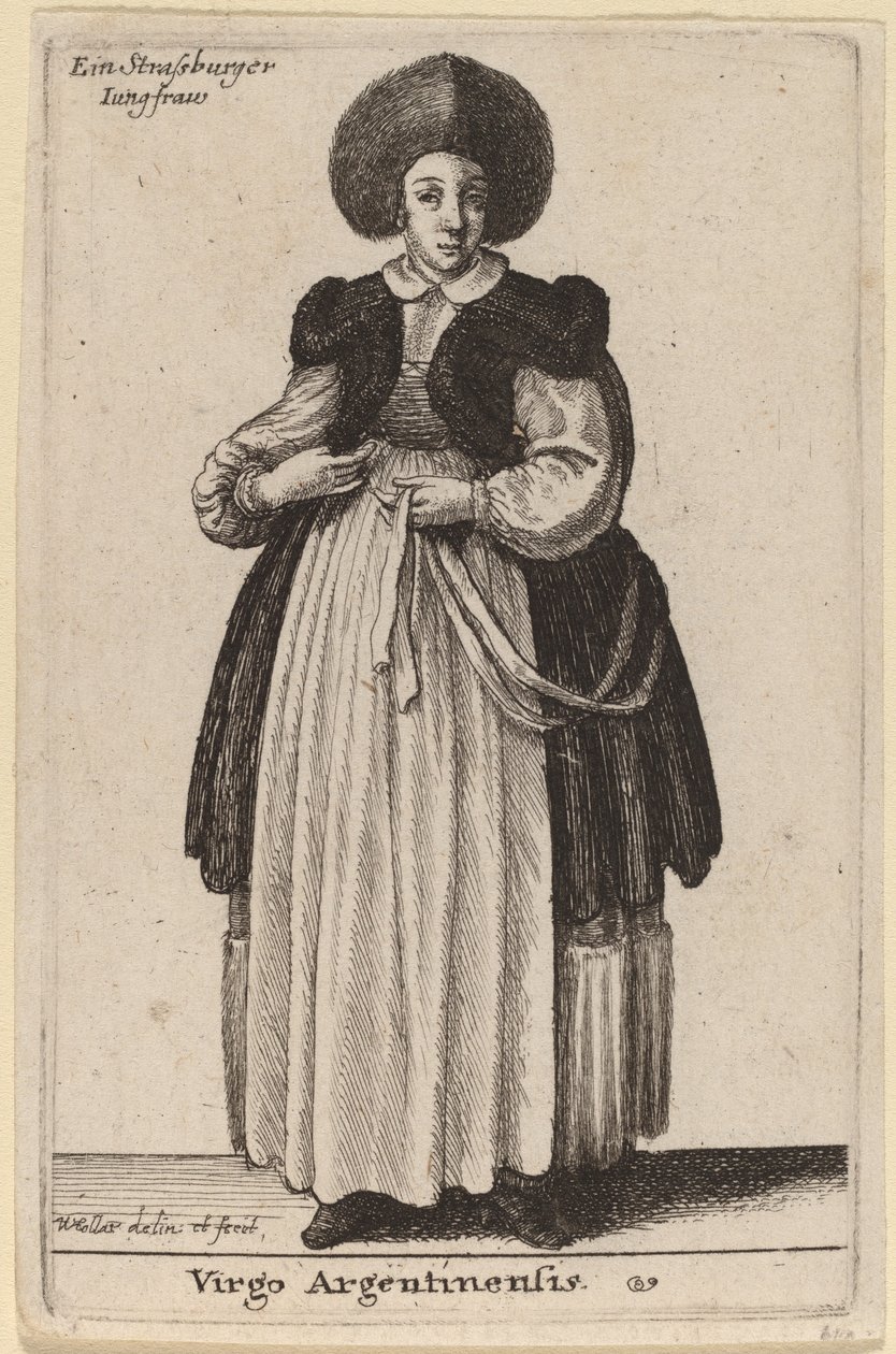 अर्जेंटीनी कुंवारी द्वारा Wenceslaus Hollar
