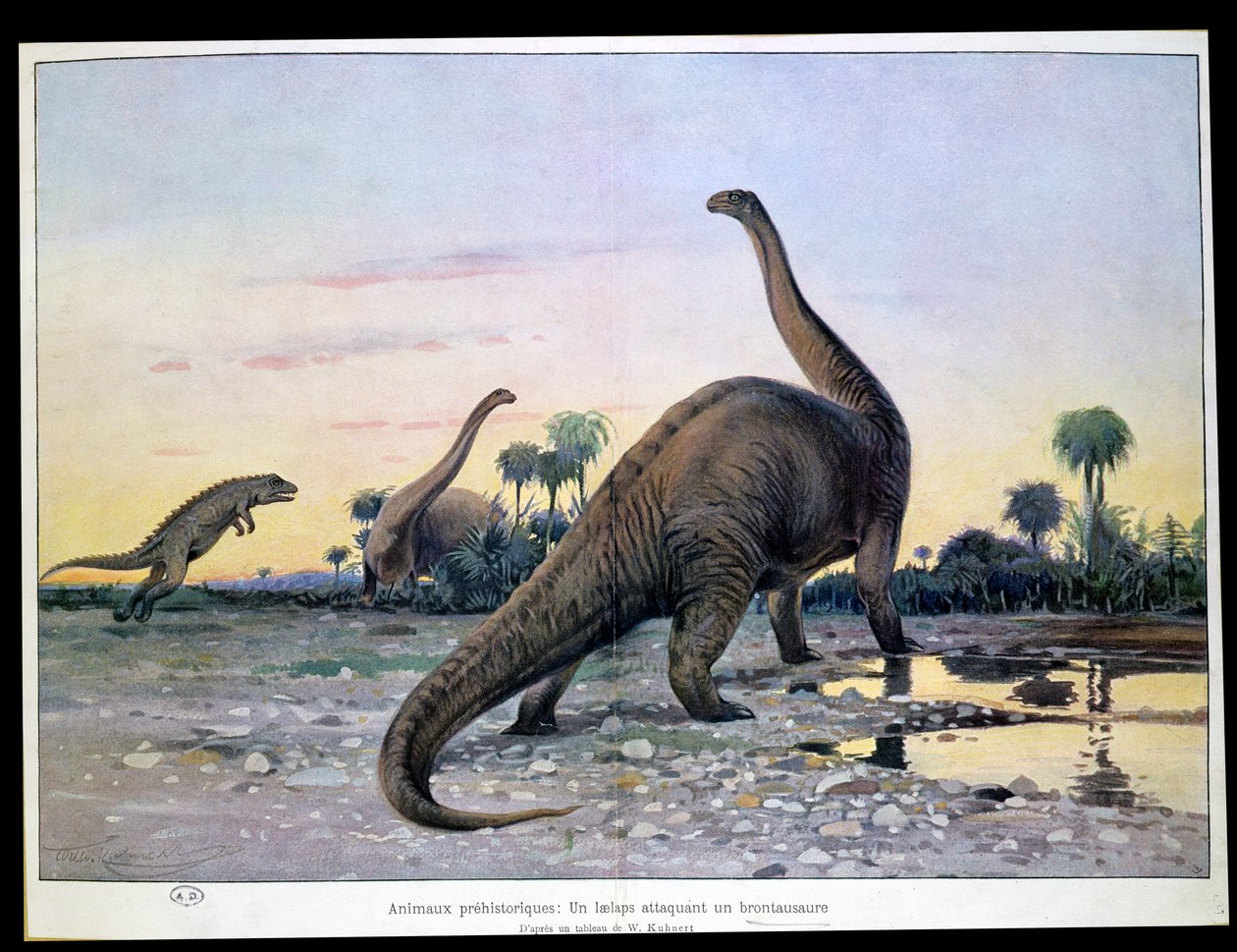 प्रागैतिहासिक पशु: एक लेलैप्स एक Brontosaurus पर हमला करते हैं द्वारा विल्हेम कुह्नर्ट