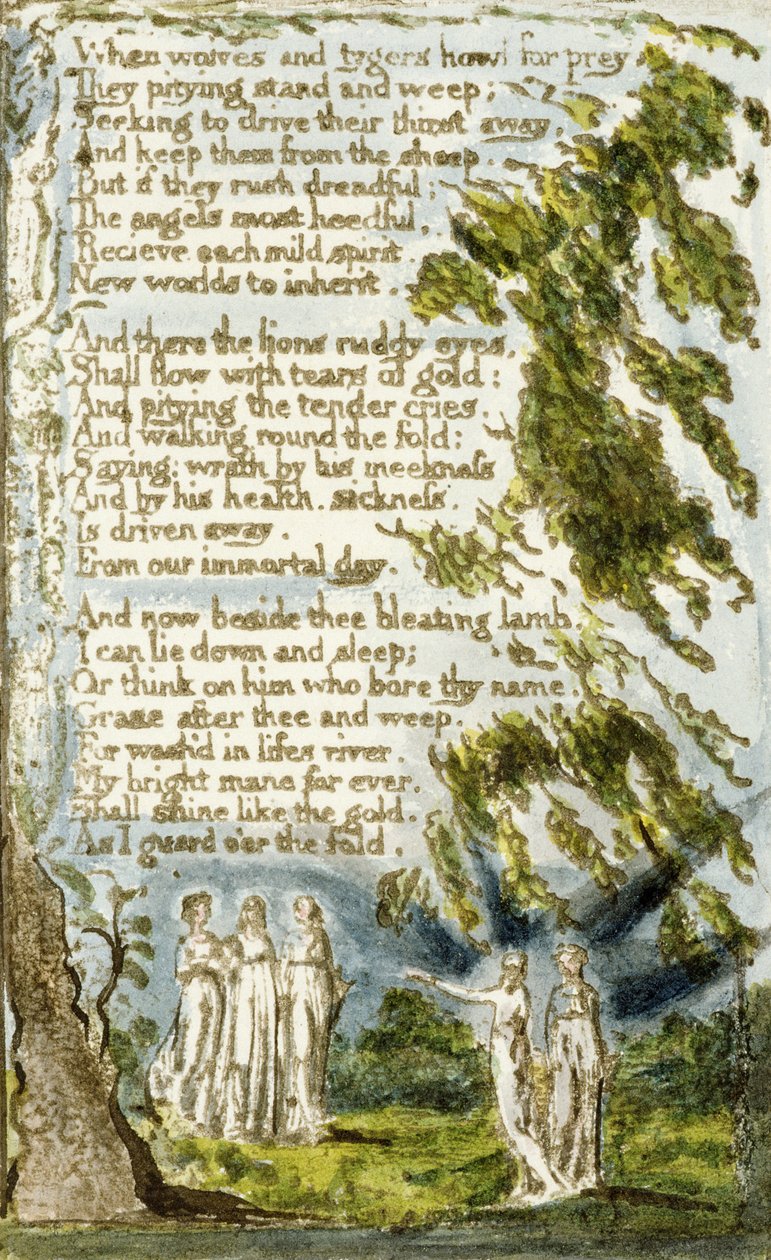 P.124-1950.pt20 रात (प्रतियोगिता।): मासूमियत के गीत और अनुभव (नकल आर) c.1802-08 (नक़्क़ाशी, स्याही और wc) से प्लेट 20 द्वारा विलियम ब्लेक