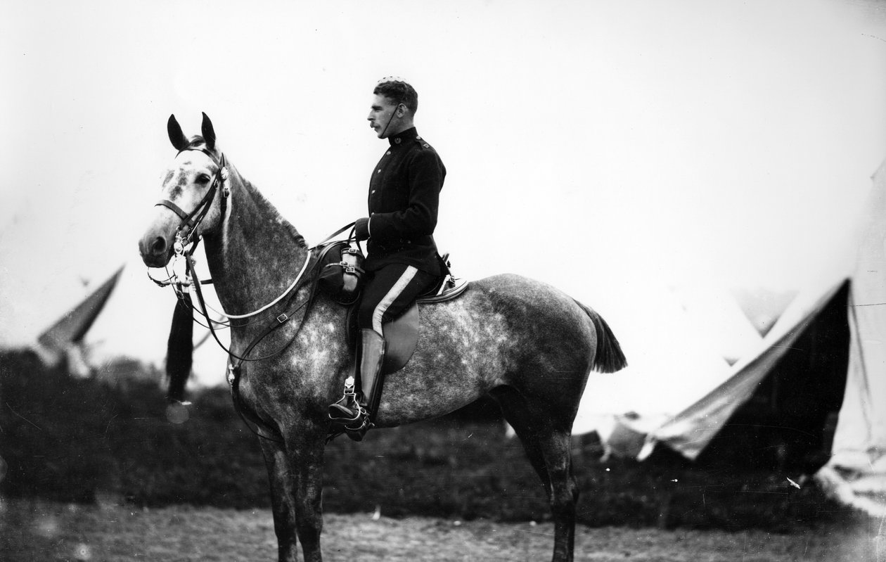 स्कॉट्स ग्रेज़ के अधिकारी, c.1890s द्वारा विलियम ग्रेगरी