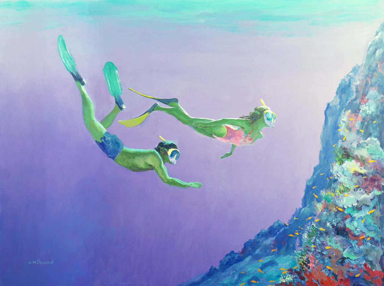 Snorklers द्वारा विलियम आयरलैंड