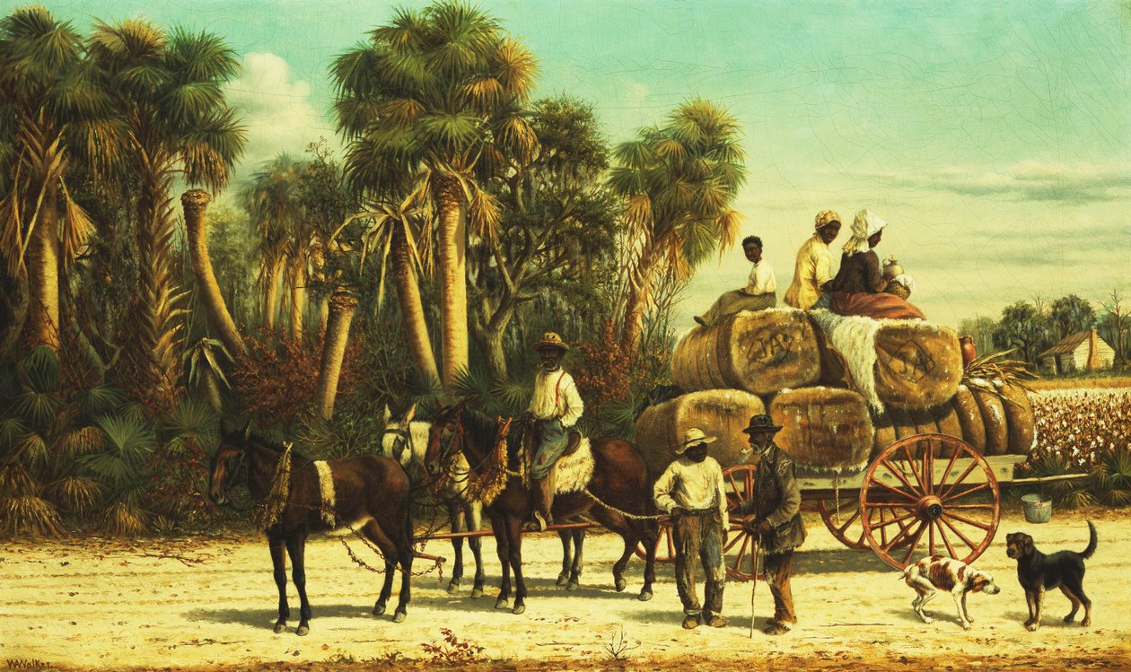 कॉटन वैगन, द्वारा विलियम एकेन वॉकर