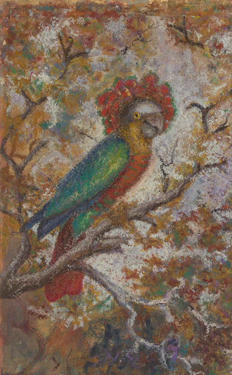 तोता, 1909। द्वारा विलियम एन बकनर