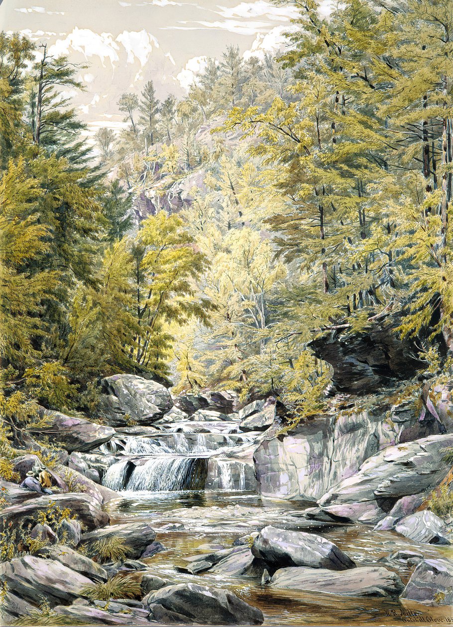 कैट्सकिल क्लोव, 1856। द्वारा विलियम रिकार्बी मिलर