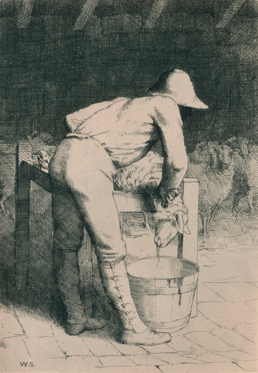 कसाई और भेड़, c1916 द्वारा विलियम स्ट्रैंड