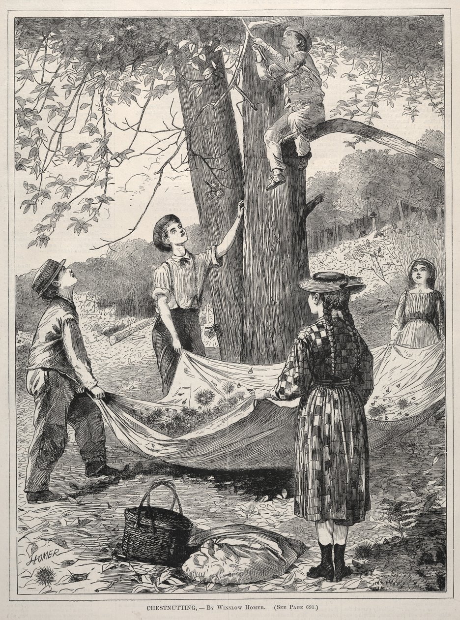 चेस्टनटिंग, 1870। द्वारा विंसलो होमर