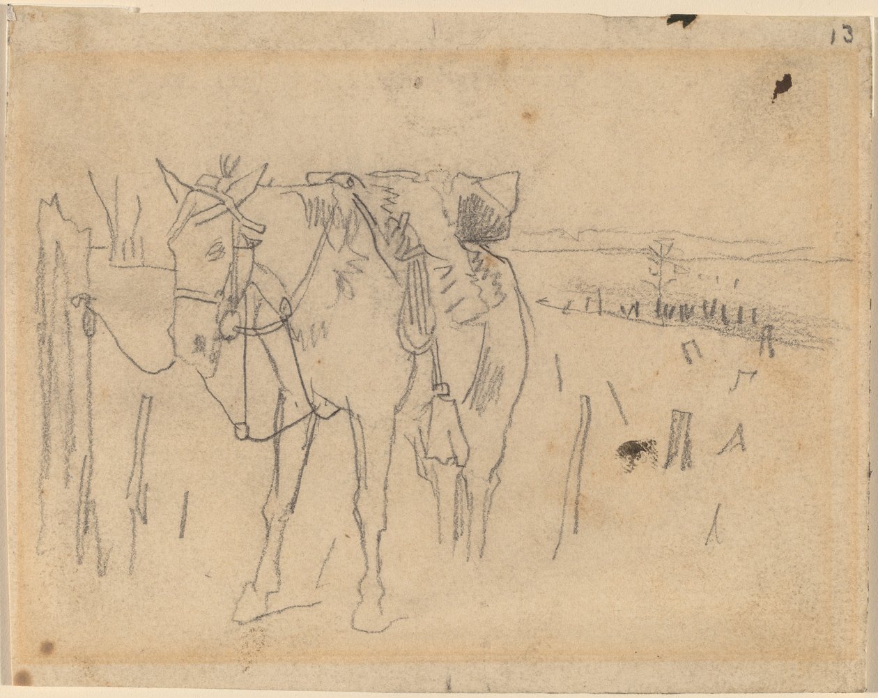 टेथर्ड, 1864। द्वारा विंसलो होमर