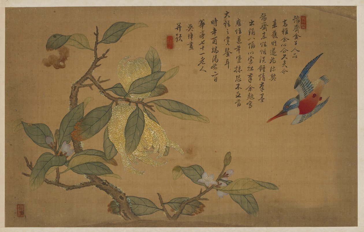पक्षी, फल और फूल, किंग राजवंश, 1741। द्वारा वू झांग