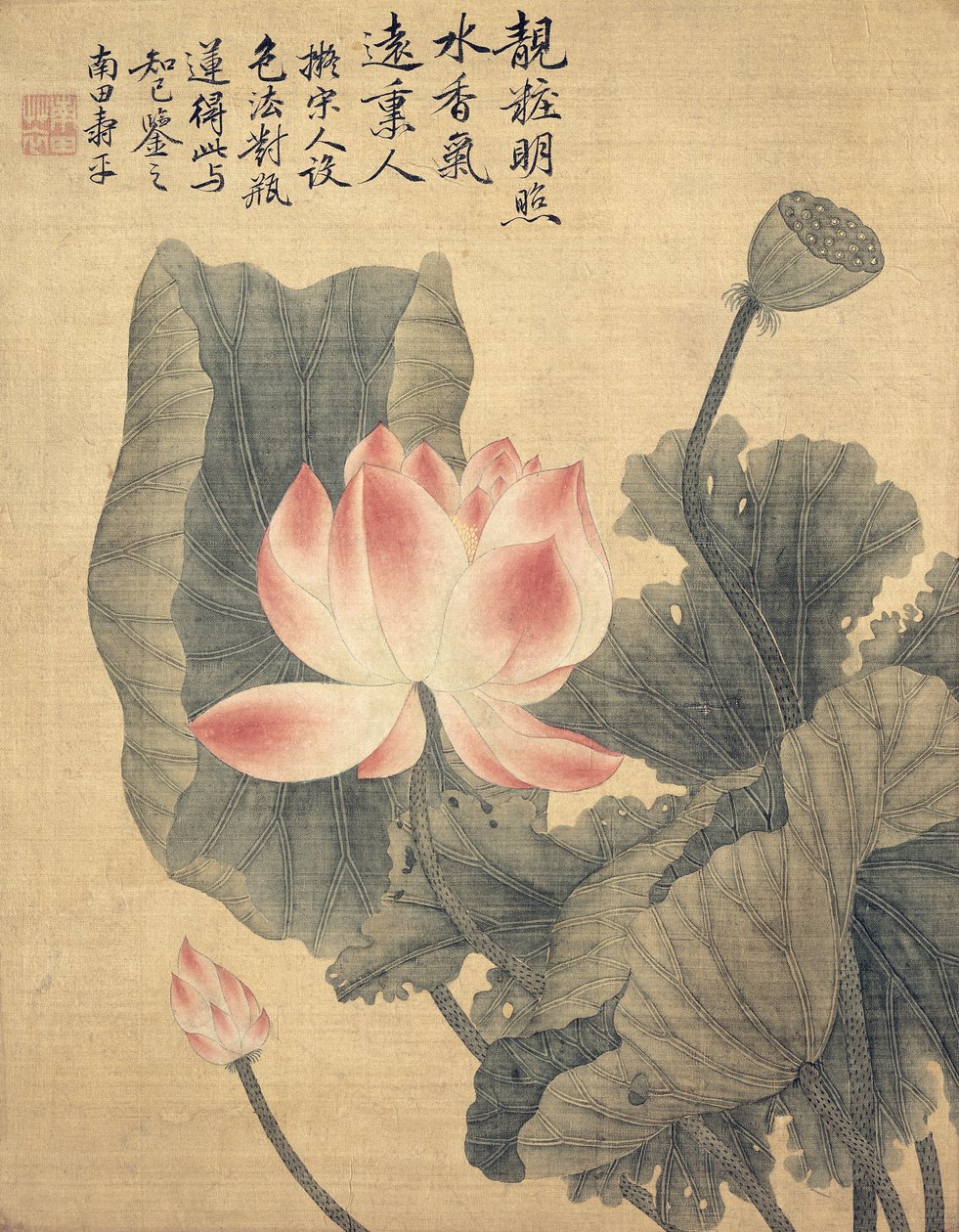 Peonies (रेशम समर्थित कागज पर स्याही का रंग) द्वारा चिल्लाना यूं