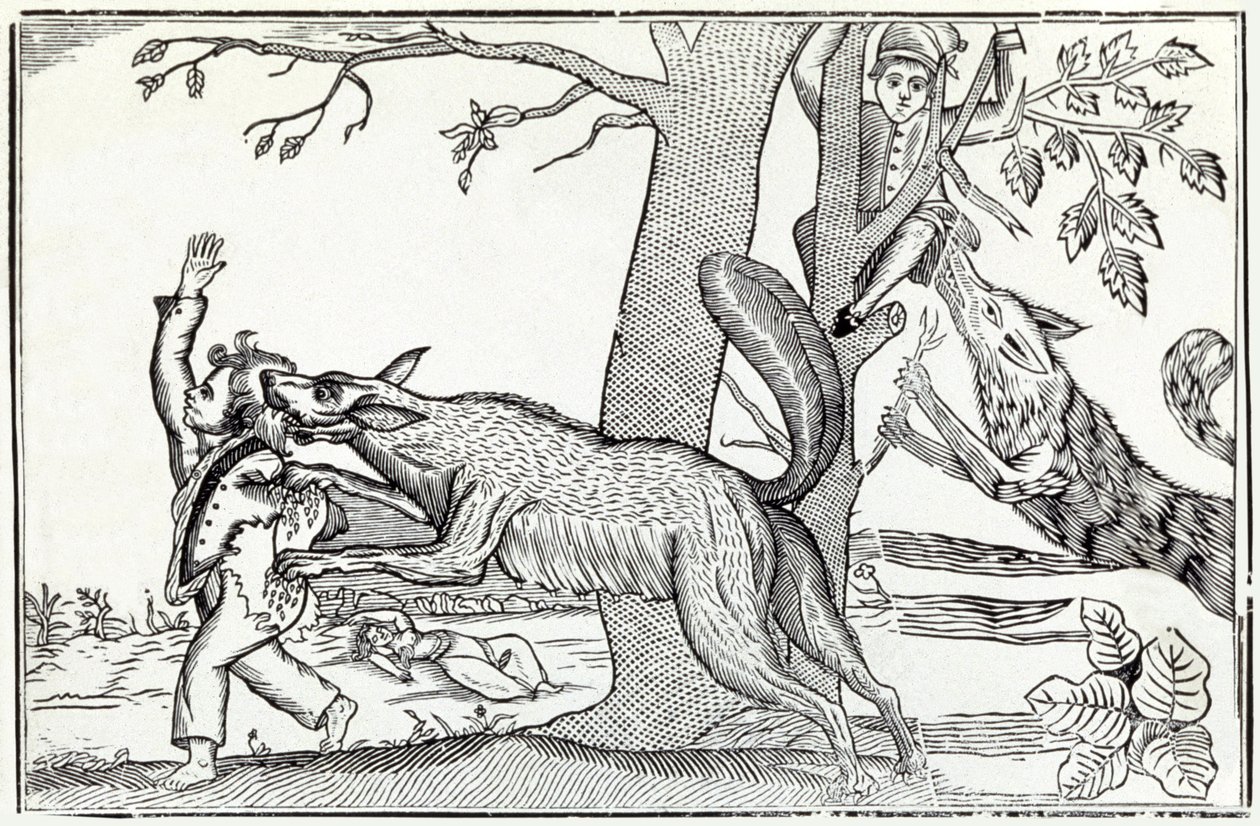 भेड़िया लगभग 1820 (उत्कीर्णन) द्वारा . .