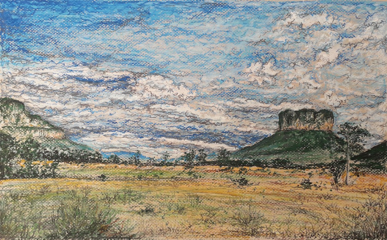 महान सबाना वेनेजुएला द्वारा miguelmendez_art.ve