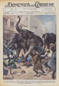सर्कस से लेकर गली तक
