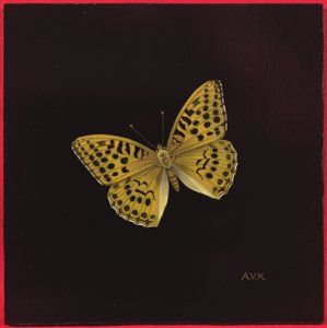 सिल्वर वाश फ्रिटिलरी बटरफ्लाई, 2000